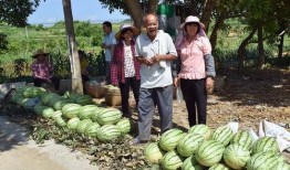 51北京朝阳村吃瓜网,51北京吃瓜网带你探秘京城美食江湖